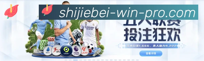 互动解说服务